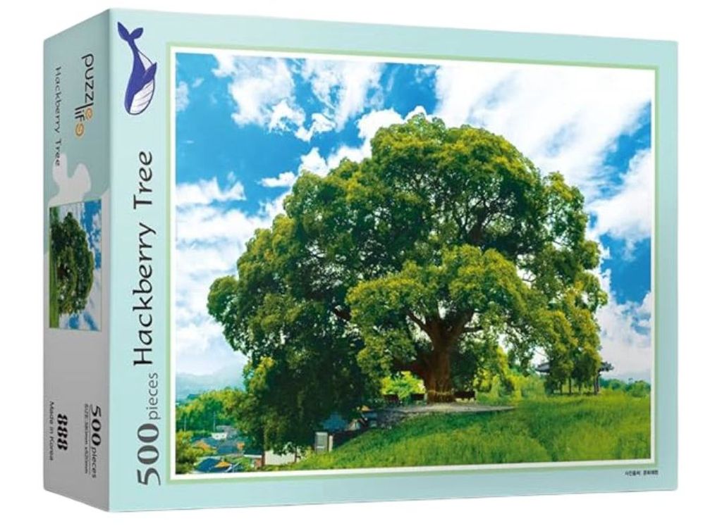 Hackberry Tree
